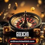 How to Use Goexch9: A Step-by-Step Beginner’s Guide